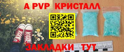 спиды Камышлов