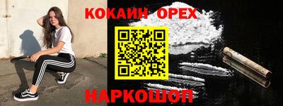 спиды Камышлов