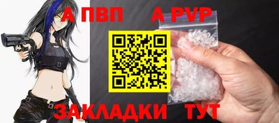 спиды Камышлов