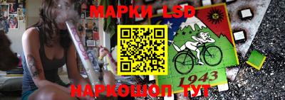 стаф Кингисепп
