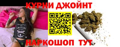 сатива Кинель