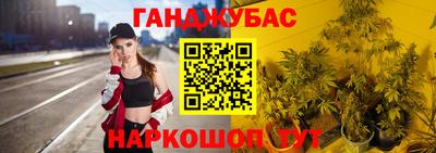 спиды Камышлов