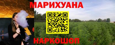 стаф Кингисепп