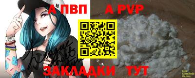 спиды Камышлов