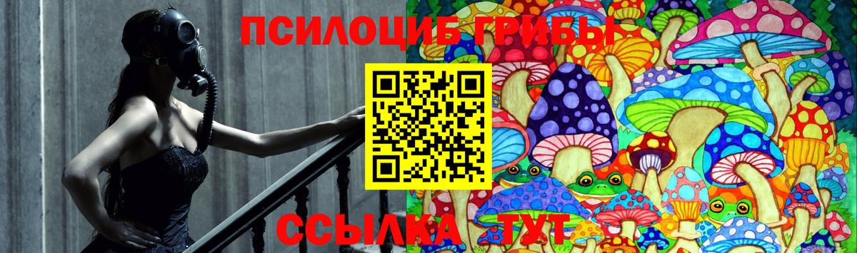 Псилоцибиновые грибы GOLDEN TEACHER  как найти закладки  Псилоцибиновые грибы Cubensis  Похвистнево  Вход с VPN 